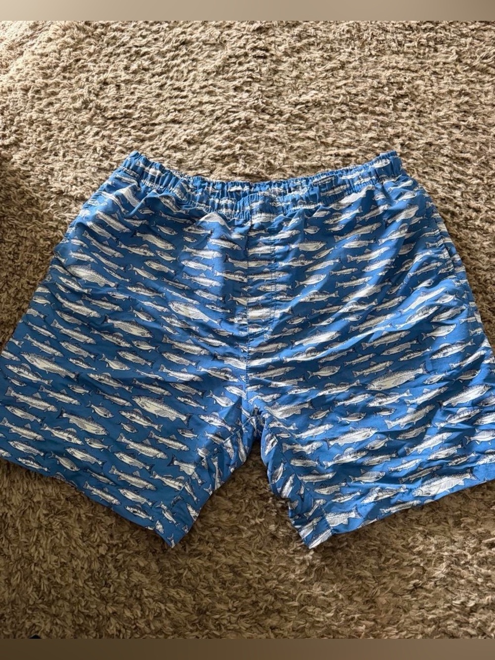 Men's Blue Fish-Print Swim Trunks